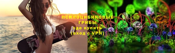 мдпв Карталы