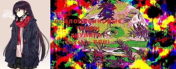 мдпв Карталы