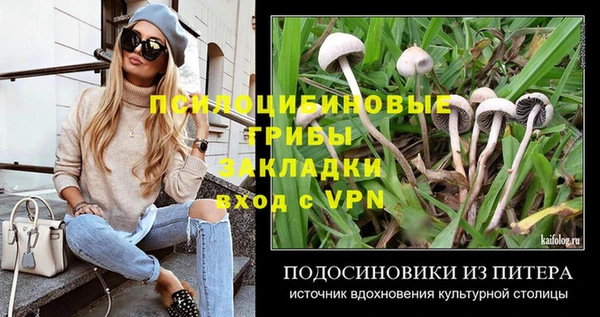 мдпв Карталы