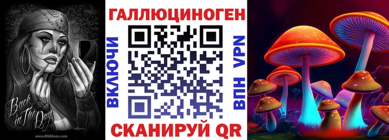 Купить где  Добрянка  Псилоцибиновые грибы GOLDEN TEACHER 