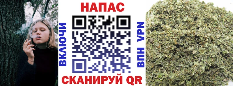 Конопля конопля  Купить где  Добрянка 